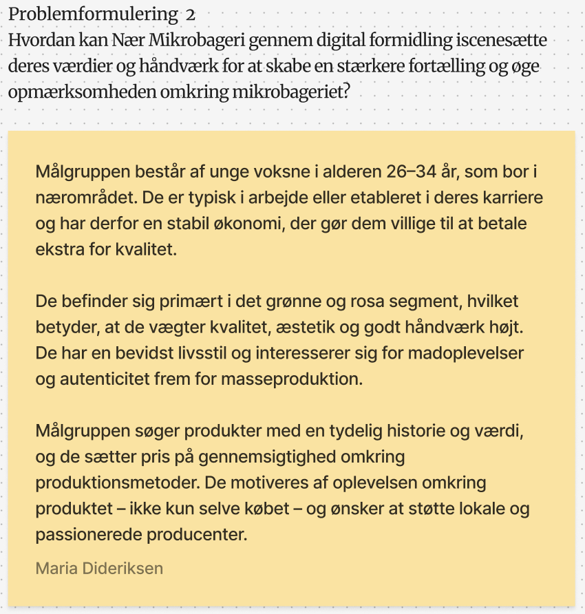 2. Problemformulering og målgruppe